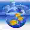 fish-icon